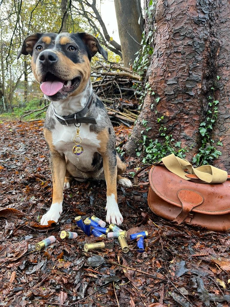 Spent Shell Tags - With Foliage