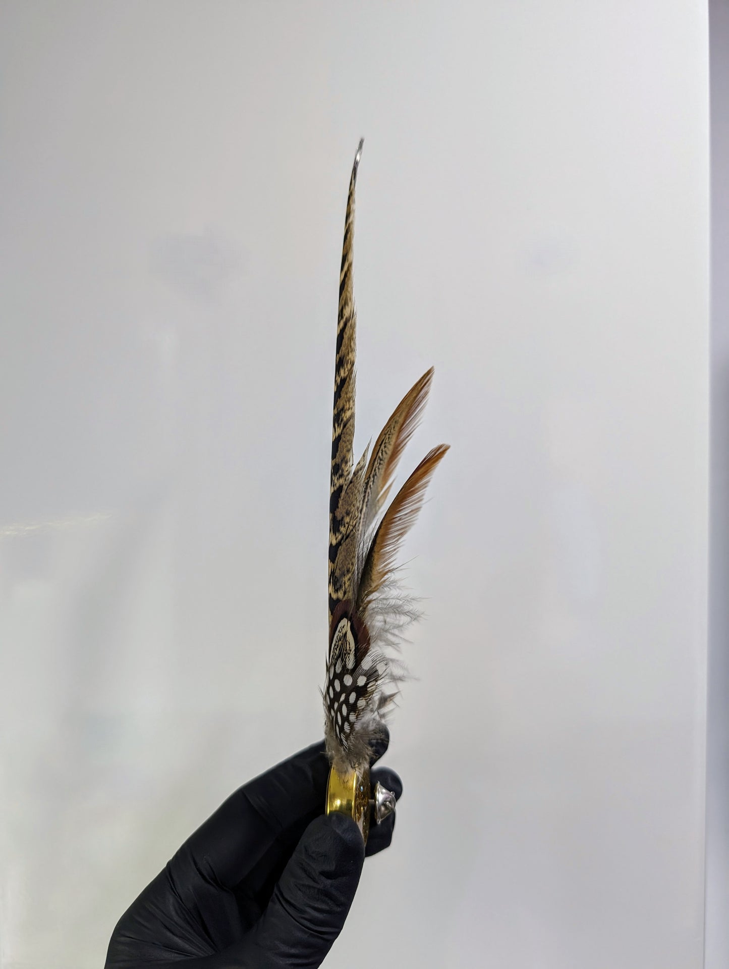 Quill Accents