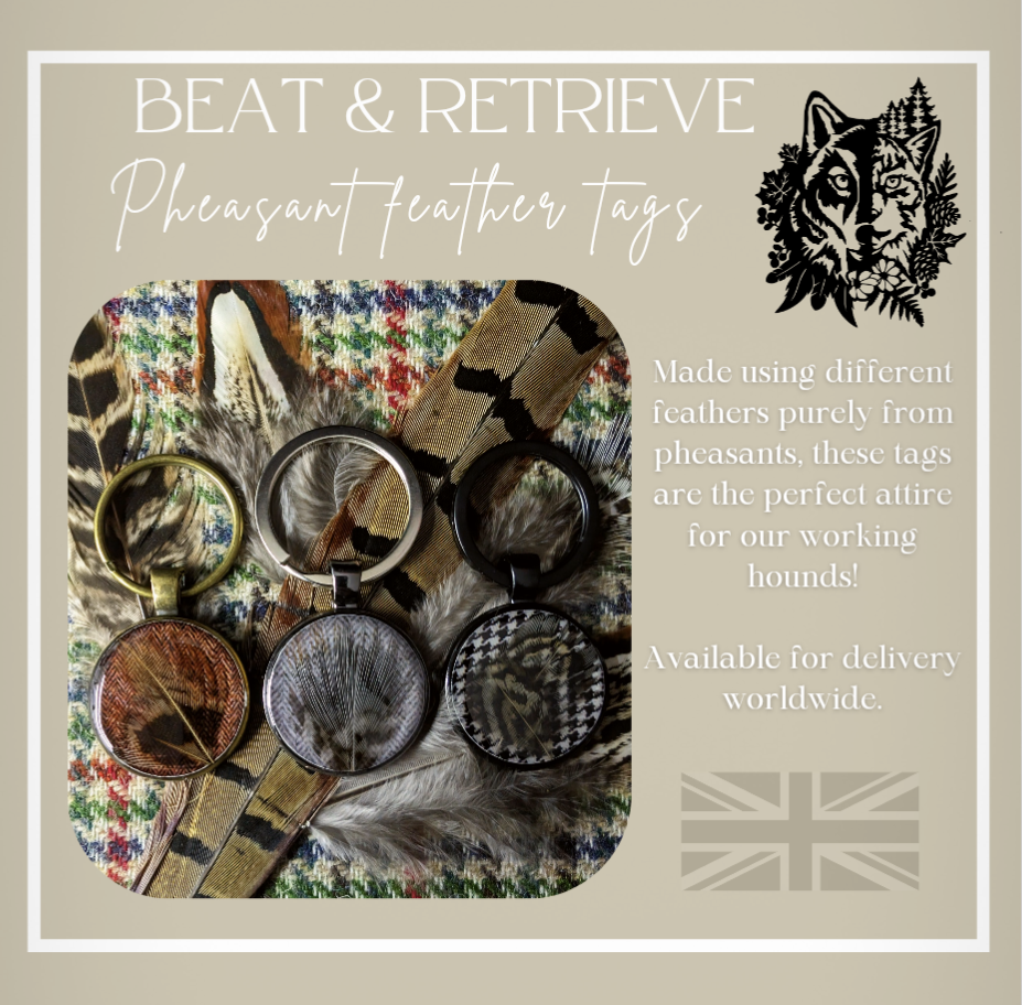 Beat & Retrieve