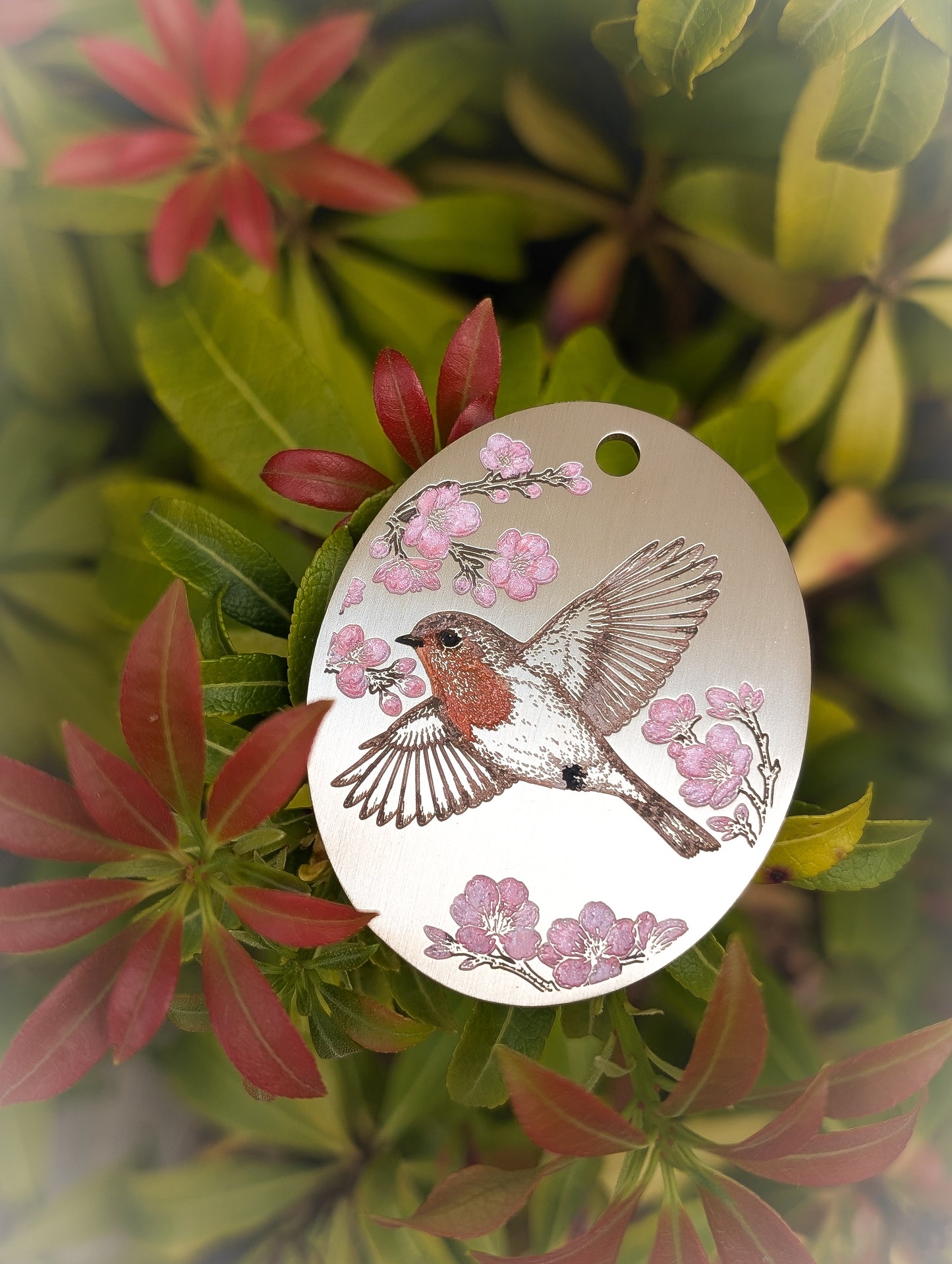 Robin & cherry blossom, brass (XL Oval 50x40mm)