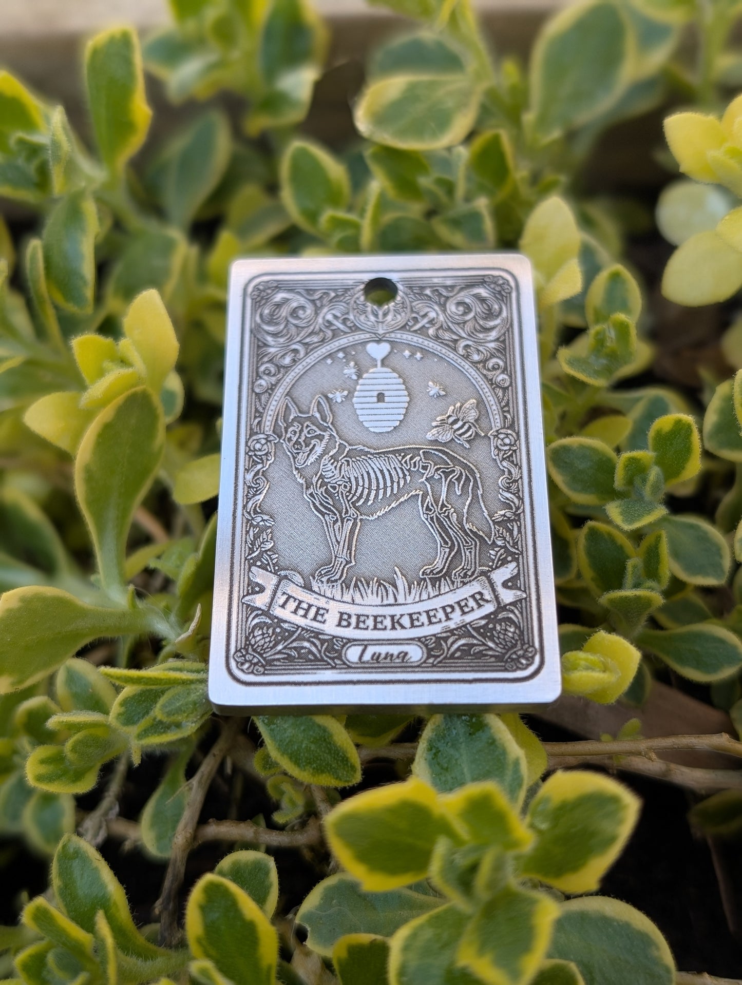 Custom Tarot Cards