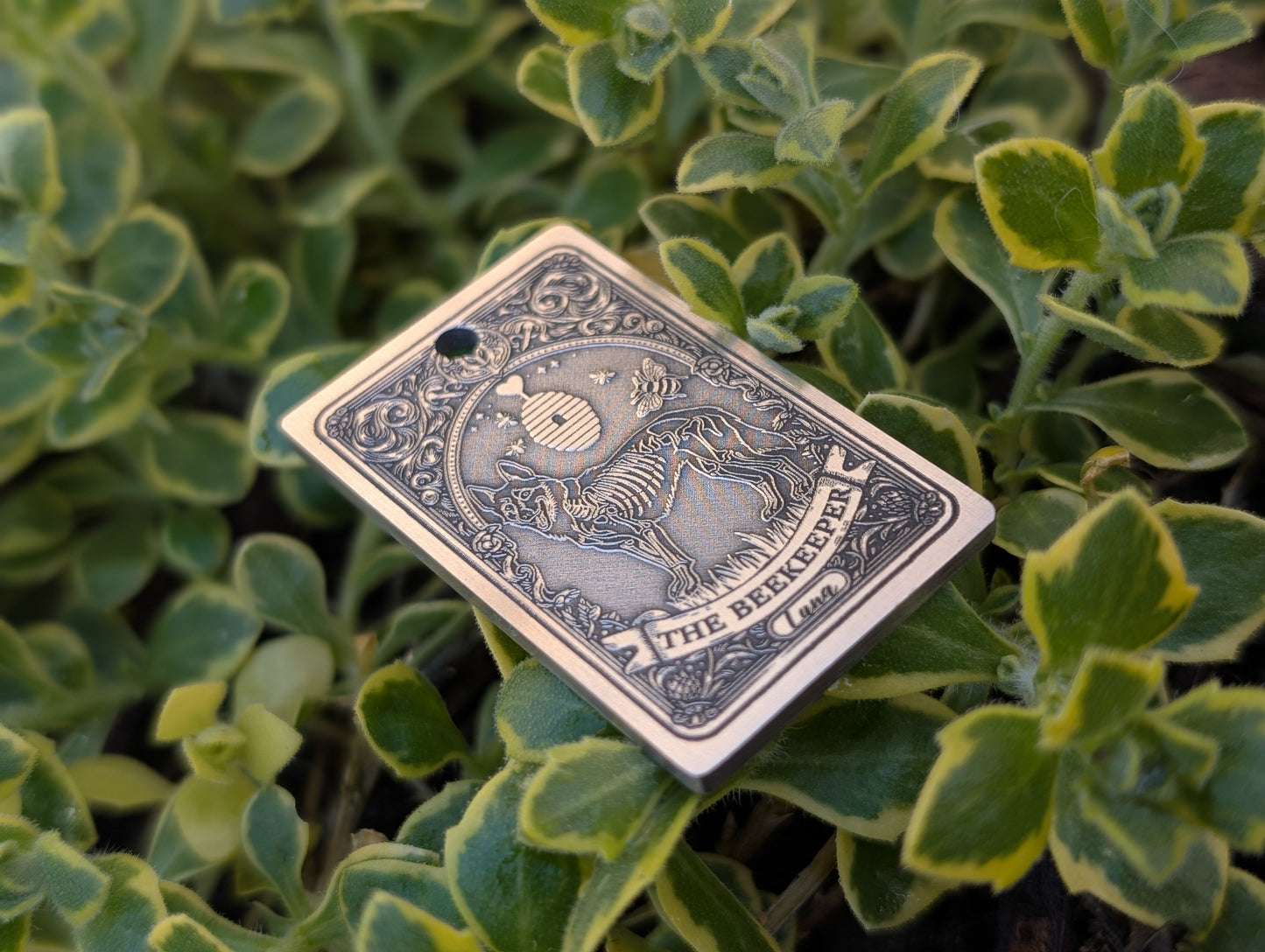 Custom Tarot Cards