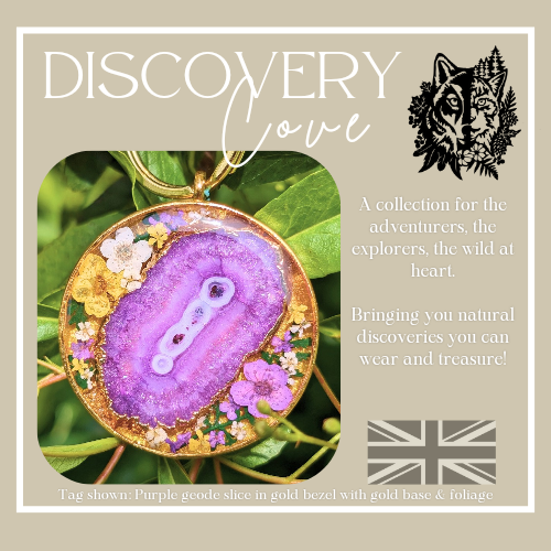 Discovery Cove Geode Tags