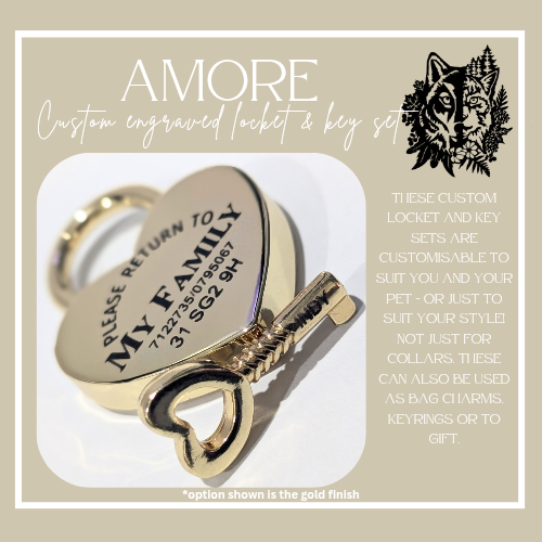 Amore Locket & Key set