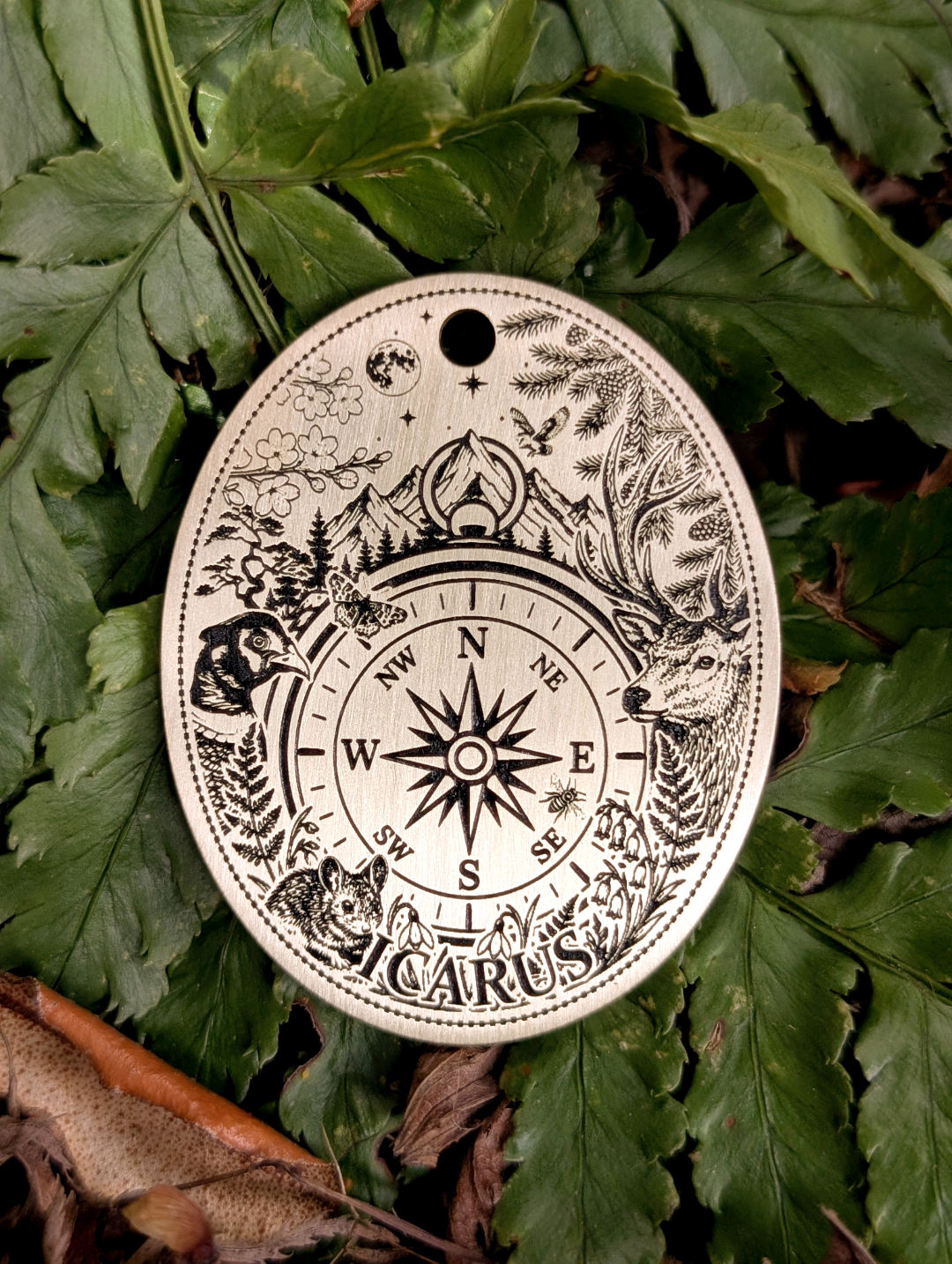 NEW! Tapestry, Your Story