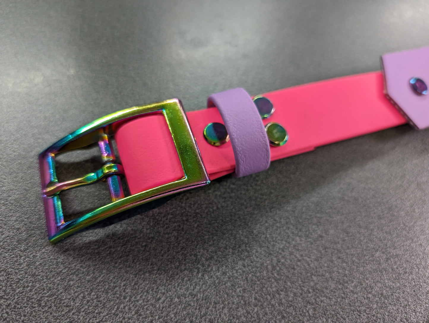 Pink and purple ID collar with rainbow hardware