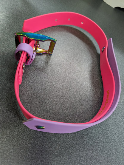 Pink and purple ID collar with rainbow hardware
