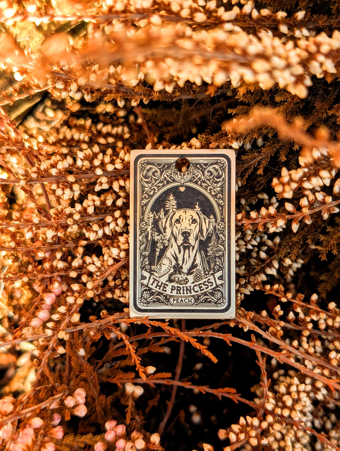 Custom Tarot Cards