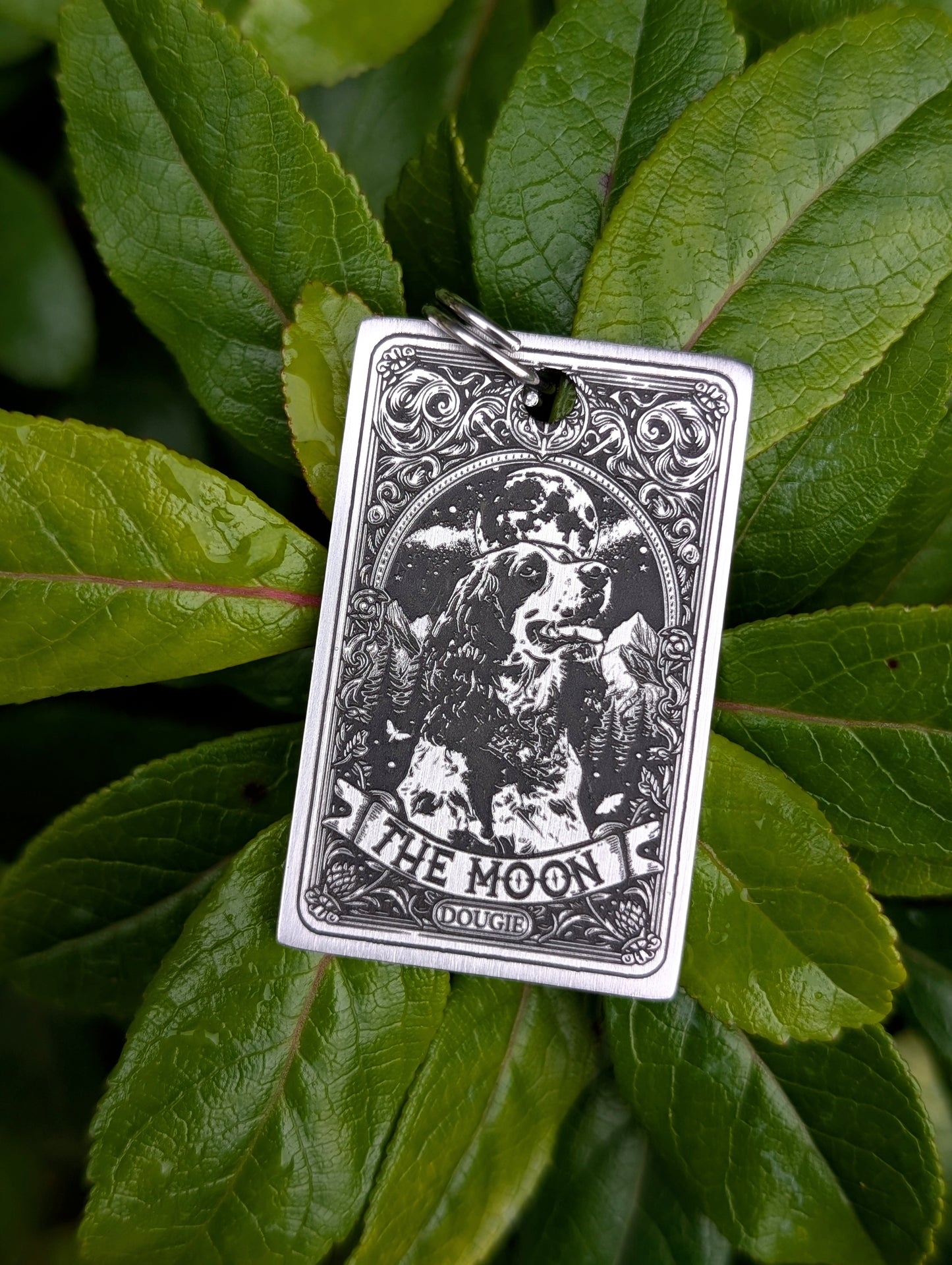 Custom Tarot Cards